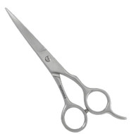 Professional Hair Cutting Shears